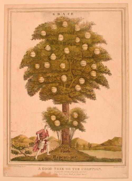 A Good Tree or The Christian.