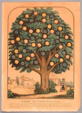 Tree of Temperance.
