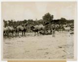 Gift of Lynn Ferrari, 2017.86.13, Connecticut Historical Society, In Copyright, Copyright held …