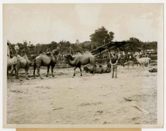 Gift of Lynn Ferrari, 2017.86.13, Connecticut Historical Society, In Copyright, Copyright held …