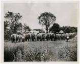 Gift of Lynn Ferrari, 2017.86.14, Connecticut Historical Society, In Copyright, Copyright held …