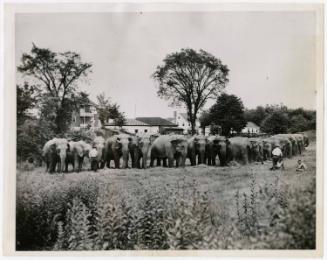 Gift of Lynn Ferrari, 2017.86.14, Connecticut Historical Society, In Copyright, Copyright held …