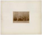 Gift of Lynn Ferrari, 2017.86.41, Connecticut Historical Society, No Known Copyright