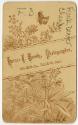 Gift of Martha Dewing, 2015.173.4, Connecticut Historical Society, No Known Copyright