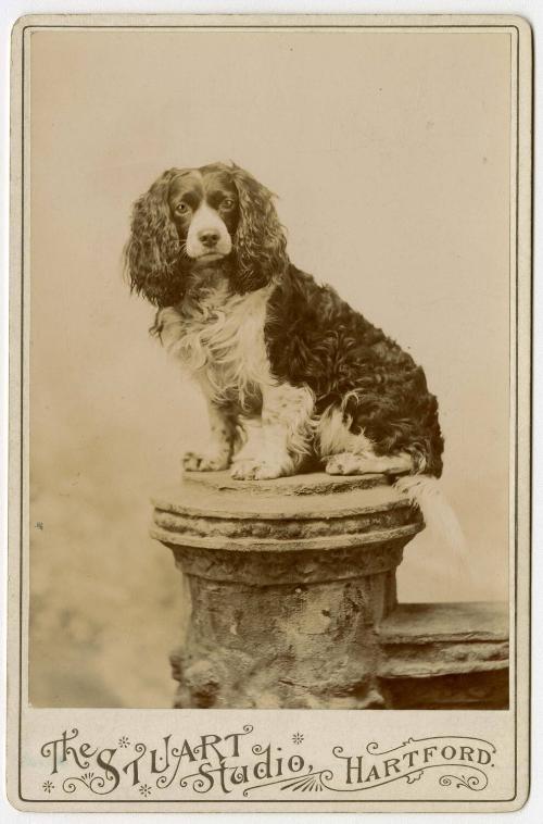 Gift of Martha Dewing, 2015.173.22, Connecticut Historical Society, No Known Copyright