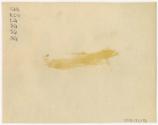 Gift of Martha Dewing, 2015.173.193, Connecticut Historical Society, Copyright Undetermined