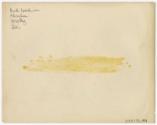 Gift of Martha Dewing, 2015.173.194, Connecticut Historical Society, Copyright Undetermined