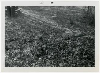 Gift of Nancy L. D'Annolfo Dellagrotta, 2020.20.4, Connecticut Historical Society, Copyright Un…