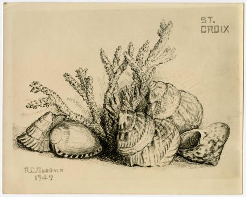Gift of Martha Dewing, 2015.173.172, Connecticut Historical Society, Copyright Undetermined