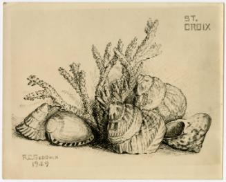 Gift of Martha Dewing, 2015.173.172, Connecticut Historical Society, Copyright Undetermined