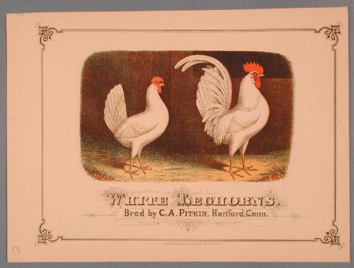 Museum purchase, 1984.51.0, Connecticut Historical Society, Copyright Not Determined