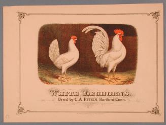 Museum purchase, 1984.51.0, Connecticut Historical Society, Copyright Not Determined
