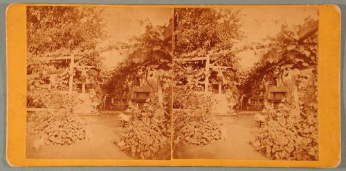 Cottage Scene