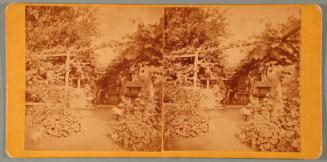 Cottage Scene