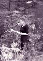 Connecticut Cultural Heritage Arts Program collection, 2015.196.235.4, Connecticut Historical S…