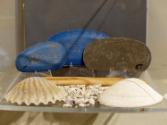 Connecticut Cultural Heritage Arts Program collection, 2015.196.249.24, Connecticut Historical …