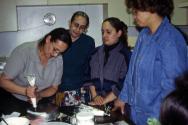 Connecticut Cultural Heritage Arts Program collection, 2015.196.301.13, Connecticut Historical …