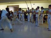 Connecticut Cultural Heritage Arts Program collection, 2015.196.310.9, Connecticut Historical S…