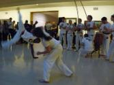 Connecticut Cultural Heritage Arts Program collection, 2015.196.310.17, Connecticut Historical …