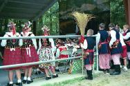 Connecticut Cultural Heritage Arts Program collection, 2015.196.444.21, Connecticut Historical …