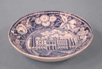 Saucer