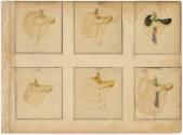Gift of the Smith-Worthington Saddlery Co., 2021.22.63.1., Connecticut Historical Society, No K…