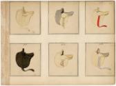 Gift of the Smith-Worthington Saddlery Co., 2021.22.63.2, Connecticut Historical Society, No Kn…