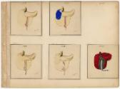 Gift of the Smith-Worthington Saddlery Co., 2021.22.63.4, Connecticut Historical Society, No Kn…