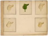 Gift of the Smith-Worthington Saddlery Co., 2021.22.63.9, Connecticut Historical Society, No Kn…
