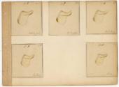Gift of the Smith-Worthington Saddlery Co., 2021.22.63.10, Connecticut Historical Society, No K…