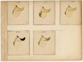 Gift of the Smith-Worthington Saddlery Co., 2021.22.63.13, Connecticut Historical Society, No K…