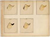 Gift of the Smith-Worthington Saddlery Co., 2021.22.63.19, Connecticut Historical Society, No K…