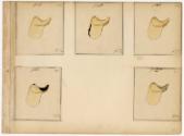 Gift of the Smith-Worthington Saddlery Co., 2021.22.63.20, Connecticut Historical Society, No K…