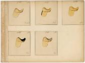 Gift of the Smith-Worthington Saddlery Co., 2021.22.63.21, Connecticut Historical Society, No K…