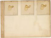 Gift of the Smith-Worthington Saddlery Co., 2021.22.63.22, Connecticut Historical Society, No K…