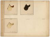 Gift of the Smith-Worthington Saddlery Co., 2021.22.63.34, Connecticut Historical Society, No K…