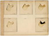 Gift of the Smith-Worthington Saddlery Co., 2021.22.63.39, Connecticut Historical Society, No K…