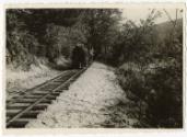 Gift of Jessie Norton-Lazenby, 2021.44.19, Connecticut Historical Society, Copyright Undetermin…