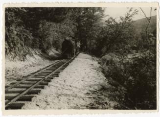 Gift of Jessie Norton-Lazenby, 2021.44.19, Connecticut Historical Society, Copyright Undetermin…