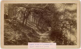 Gift of Jessie Norton-Lazenby, 2021.44.472, Connecticut Historical Society, Copyright Undetermi…
