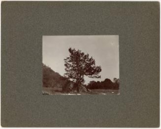 Gift of Jessie Norton-Lazenby, 2021.44.477, Connecticut Historical Society, Copyright Undetermi…
