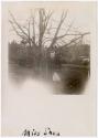 Gift of Mrs. & Mr. James M. Carey, 2021.30.0.9, Connecticut Historical Society, No Known Copyri…