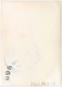 Gift of Mrs. & Mr. James M. Carey, 2021.30.0.13, Connecticut Historical Society, No Known Copyr…
