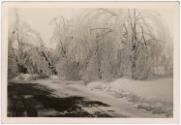 Gift of Mrs. & Mr. James M. Carey, 2021.30.0.60, Connecticut Historical Society, No Known Copyr…