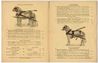Gift of the Smith-Worthington Saddlery Co., 2021.22.26, Connecticut Historical Society, No Know…