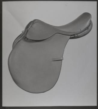 Gift of the Smith-Worthington Saddlery Co., 2021.22.72, Connecticut Historical Society, Copyrig…