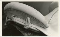 Gift of the Smith-Worthington Saddlery Co., 2021.22.104, Connecticut Historical Society, Copyri…