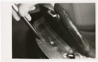Gift of the Smith-Worthington Saddlery Co., 2021.22.112, Connecticut Historical Society, Copyri…