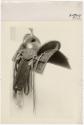 Gift of the Smith-Worthington Saddlery Co., 2021.22.157b, Connecticut Historical Society, Copyr…