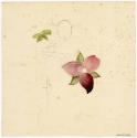 Gift of Jessie Norton-Lazenby, 2021.44.491, Connecticut Historical Society, No Known Copyright